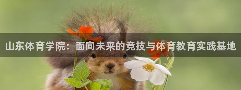 一竞技官方正版app科技：山东体育学院：面向未来的竞
