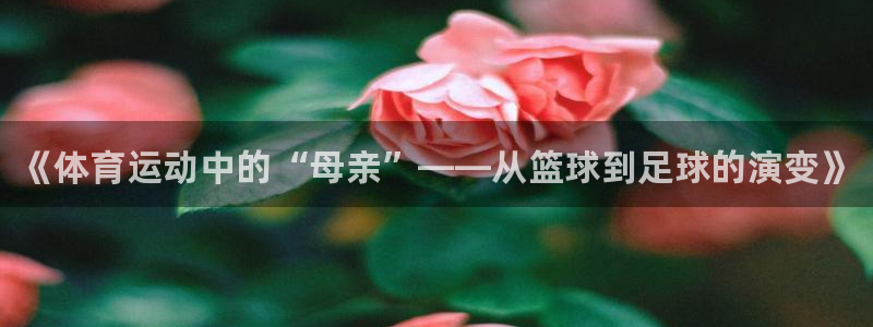 一竞技官网下载平台：《体育运动中的“母亲”——从篮球到足球的