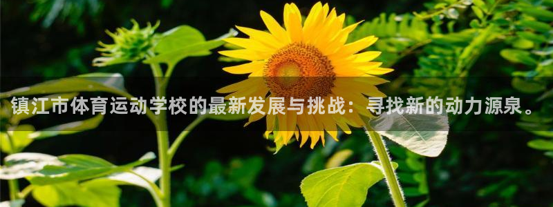 一竞技官方正版app娱乐首页官网下载：镇江市体育运动