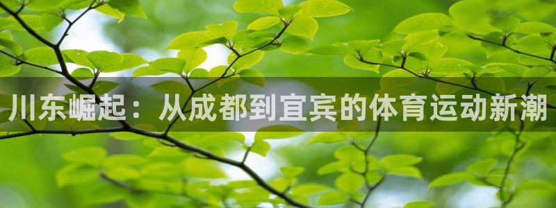 一竞技官网下载招商电话地址是多少：川东崛起：从成都到