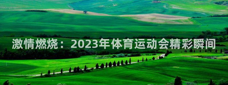 一竞技官网下载平台注册要钱吗安全吗：激情燃烧：202