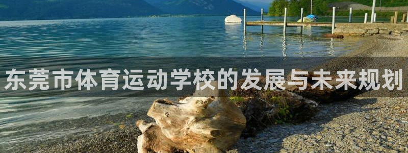 一竞技官网下载平台假的吗是真的吗