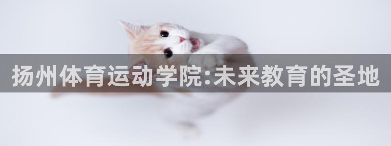 一竞技官方正版app集团简介：扬州体育运动学院:未来教育的圣
