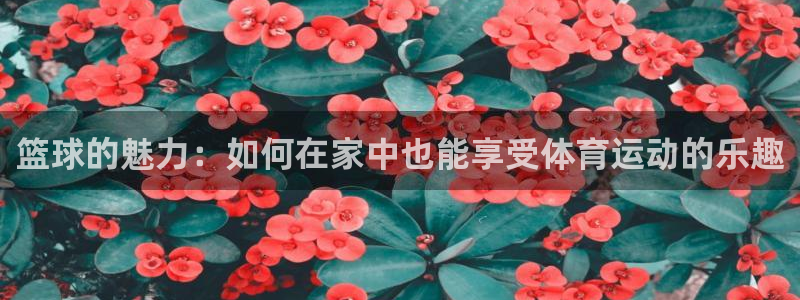一竞技官网下载招商电话号码：篮球的魅力：如何在家中也能享受体