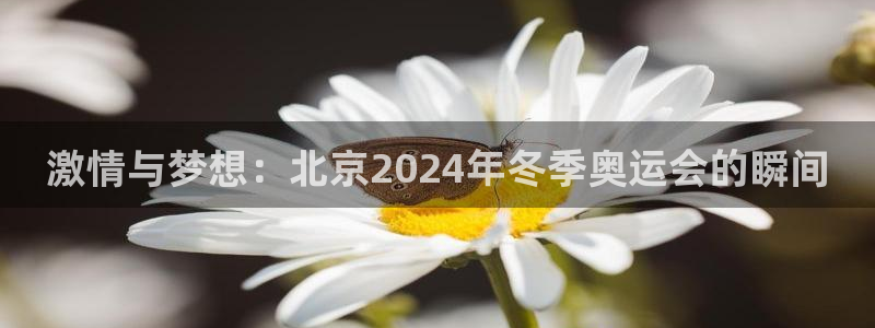 一竞技官方正版app娱乐代理怎么样