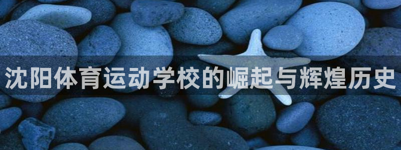 一竞技官网下载官方客服电话：沈阳体育运动学校的崛起与