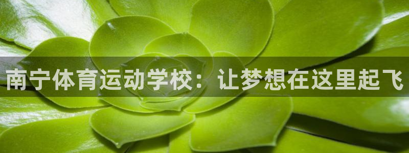 一竞技官网下载联系电话：南宁体育运动学校：让梦想在这