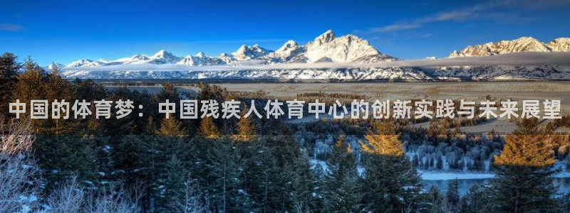 一竞技官网下载平台注册要钱吗：中国的体育梦：中国残疾