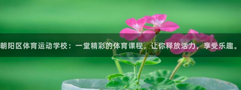 一竞技官网下载招商电话号码是多少：朝阳区体育运动学校