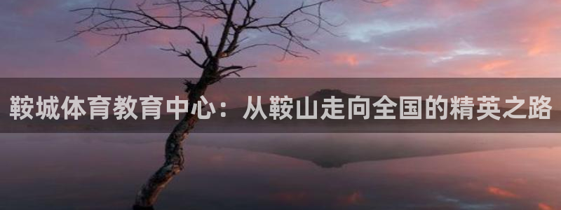一竞技官方正版app集团简介：鞍城体育教育中心：从鞍山走向全
