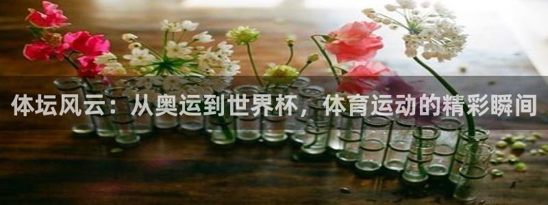 一竞技官网下载招商电话地址是多少：体坛风云：从奥运到世界杯，