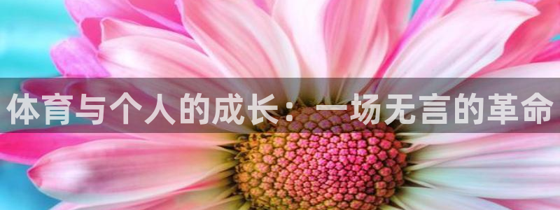 一竞技官方正版app集团官网首页网址