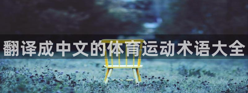 一竞技官网下载平台注册：翻译成中文的体育运动术语大全