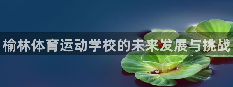 一竞技官网下载招商电话：榆林体育运动学校的未来发展与挑战