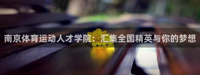 一竞技官方正版app神州：南京体育运动人才学院：汇集